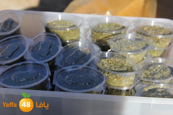 rashidiya 0212 (41).JPG